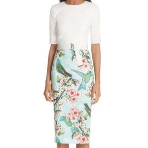 Ted Baker Julieta Nectar bodycon dress